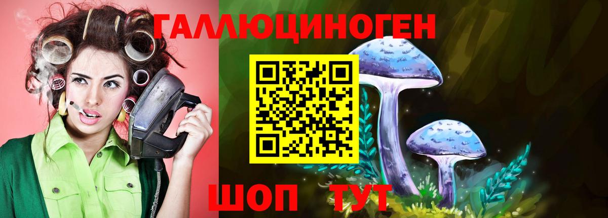 Галлюциногенные грибы Magic Shrooms  Вход с VPN  Гусь-Хрустальный 