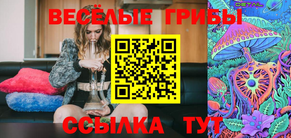 Псилоцибиновые грибы Psilocybine cubensis Гусь-Хрустальный