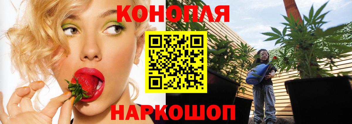 Канабис планчик  Марихуана VHQ  Каннабис гибрид  Вход с VPN  Конопля планчик  Гусь-Хрустальный 